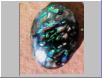 Reverse side of Yowah Nut with opal matrix