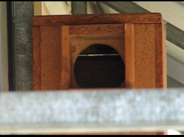 Video, beading wings